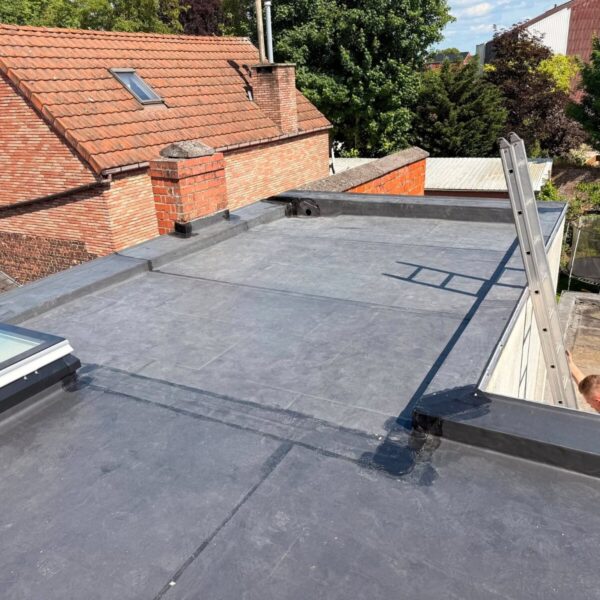 fenetre-de-toit-coupole-toit-plat-epdm